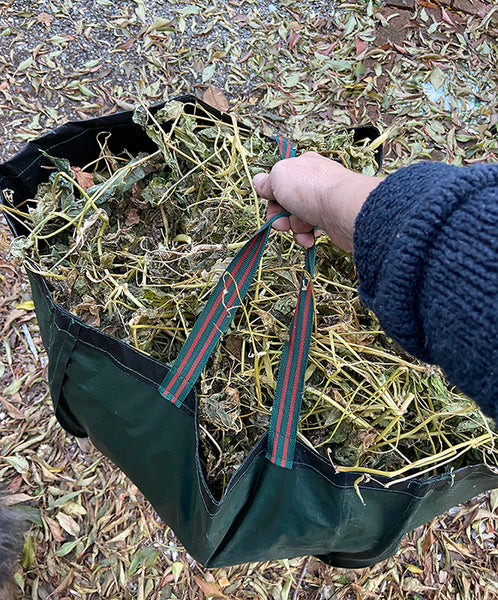 Garden Cleanup Bag  Renee's Garden Seeds