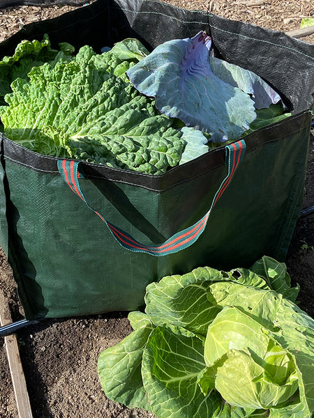 Garden Cleanup Bag  Renee's Garden Seeds