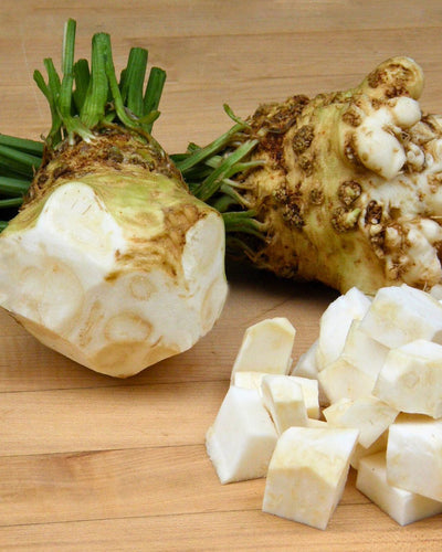 Harvesting Celeriac (a.k.a. Celery Root)