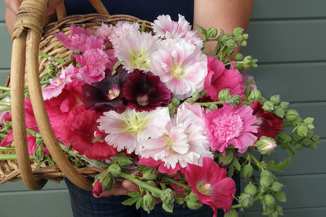 Flowers For Bouquets