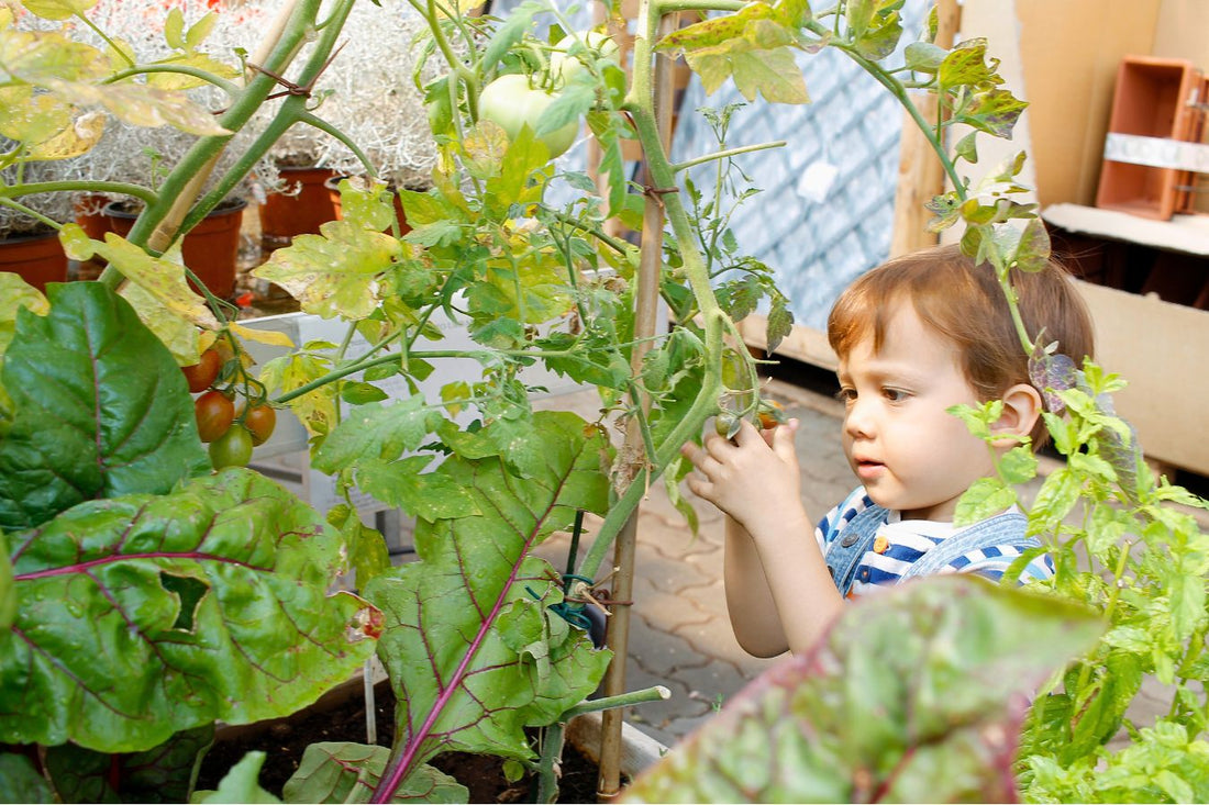 Gardening With Small Children