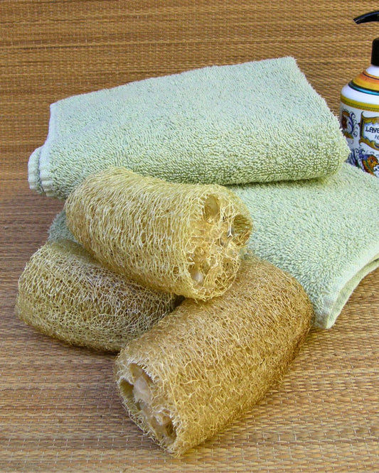 Harvest and Prepare Loofah Sponges