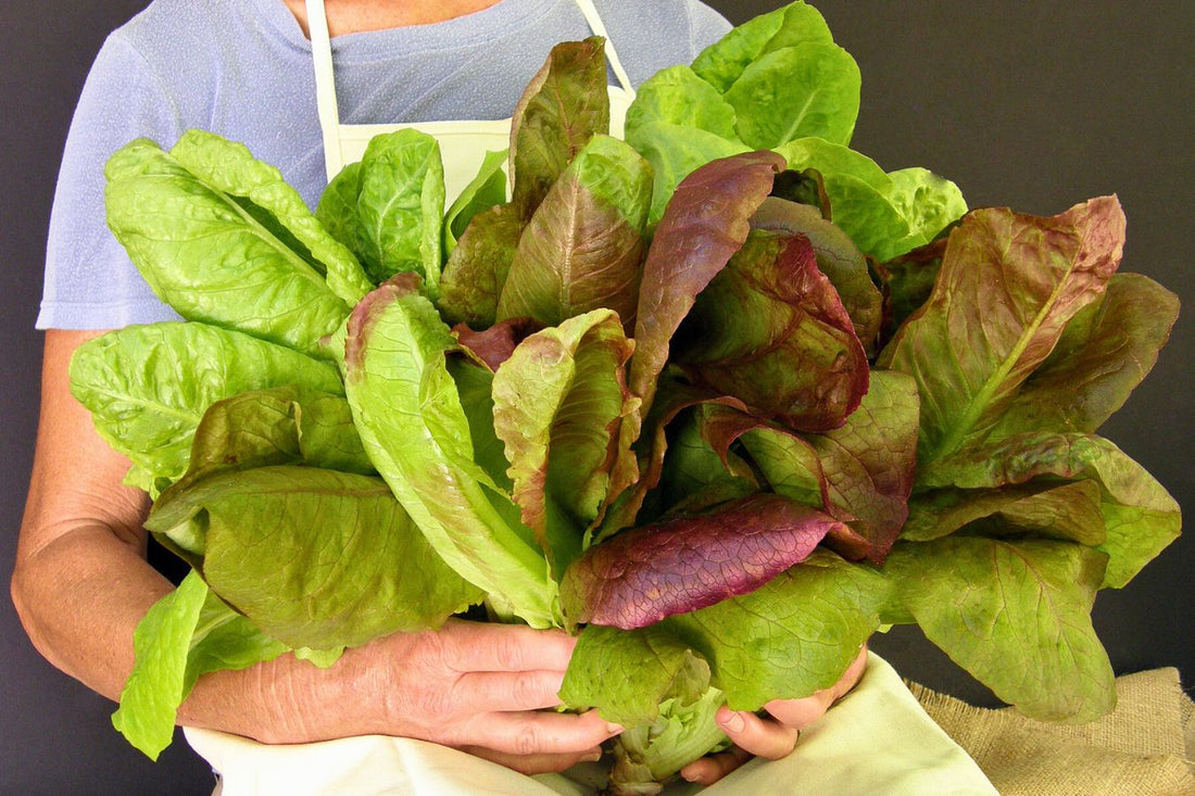 Make A Mouthwatering Caesar Salad