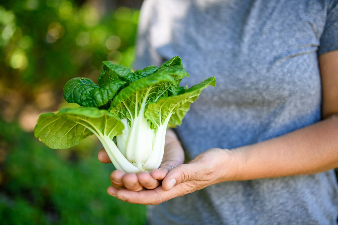 Exploring Asian Vegetables