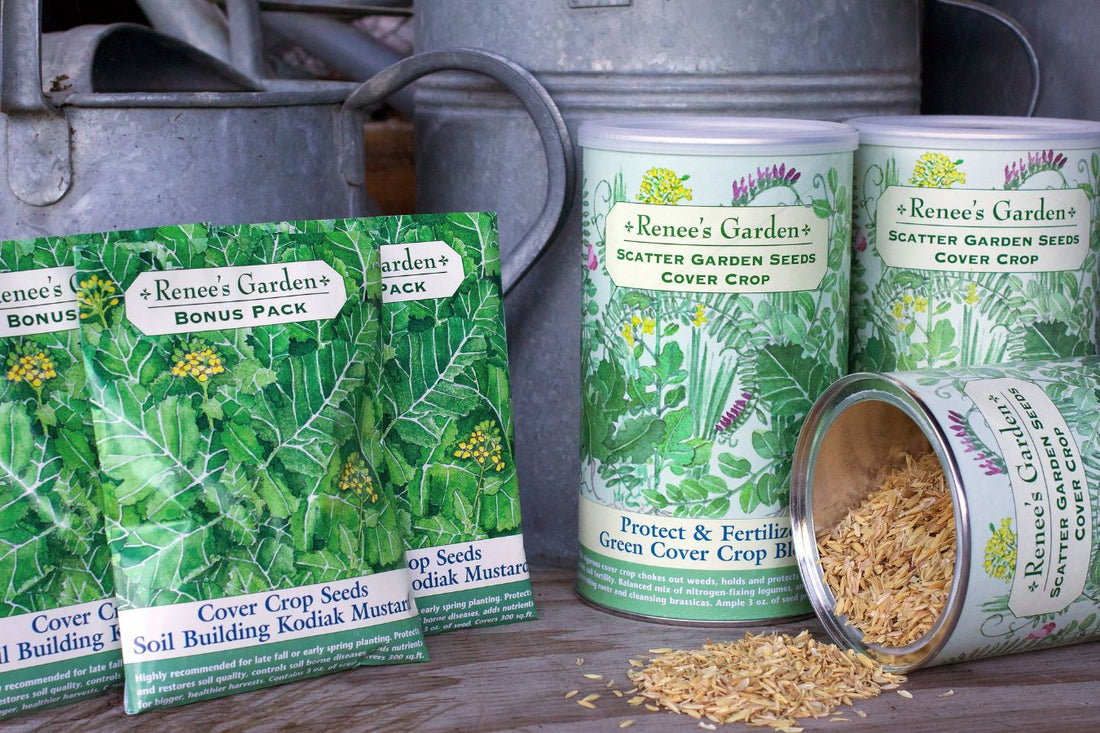 Planting Your Cover Crop Scatter Garden