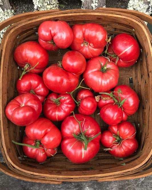 Tomato and Red Lentil Soup