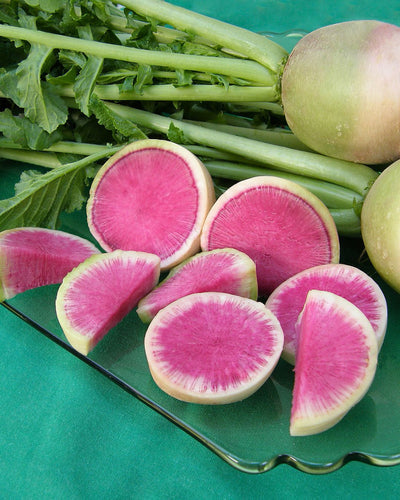 How To Grow Watermelon Radish