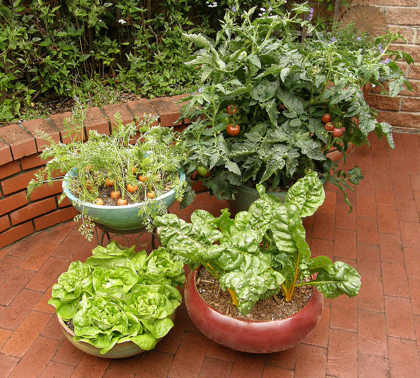 The Container Kitchen Garden