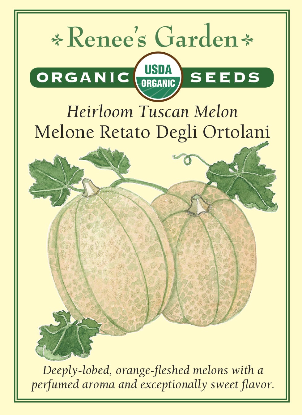 Melone Retato Degli Ortolani