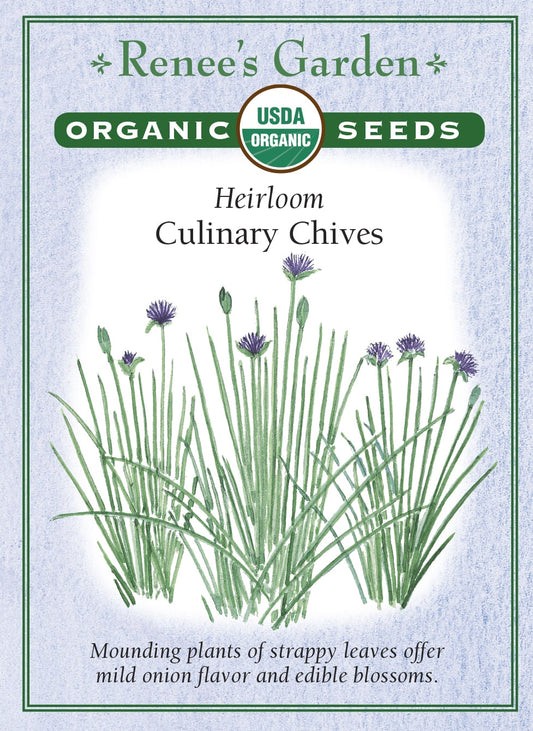 Culinary Chives