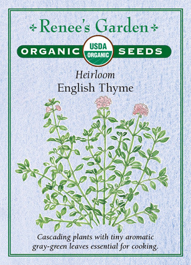 English Thyme