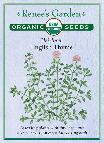 English Thyme