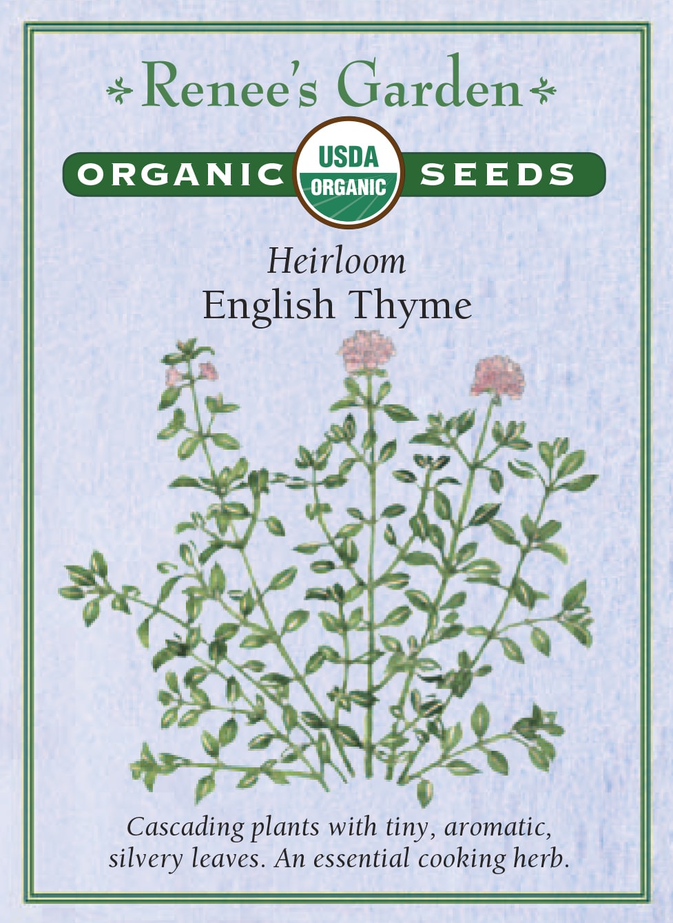 English Thyme