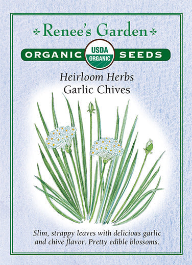 Garlic Chives