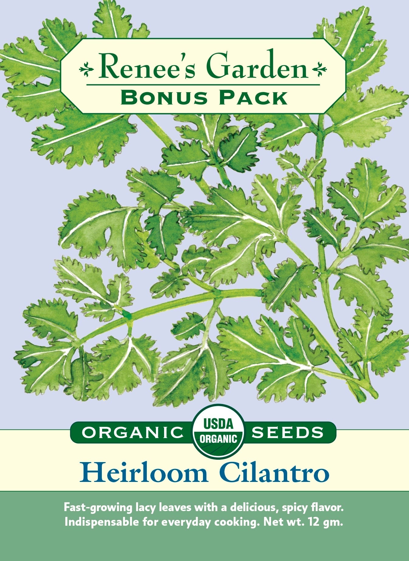 Heirloom Cilantro