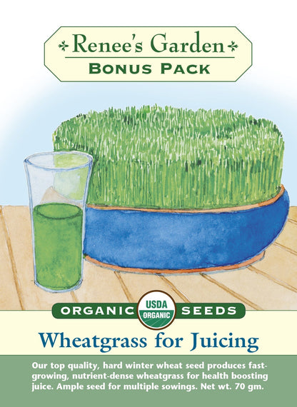 Wheatgrass For Juicing