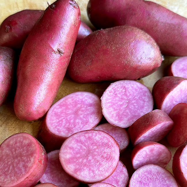 Amarosa Fingerling