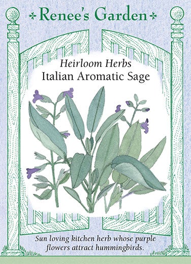 Italian Aromatic Sage