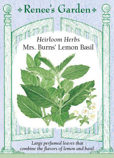 Mrs. Burns' Lemon Basil