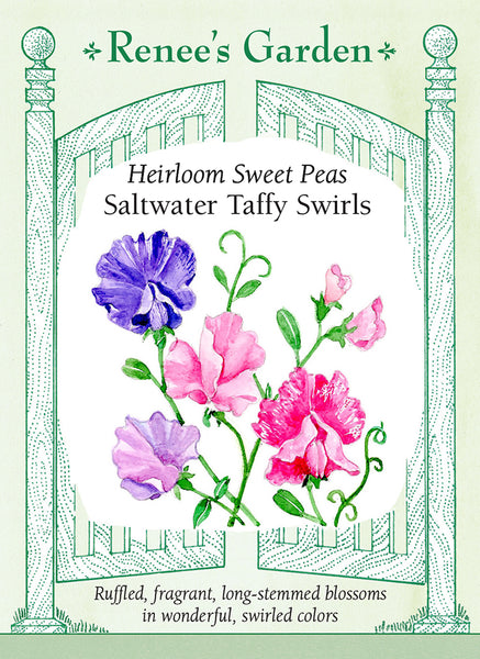 'Saltwater Taffy Swirls' Heirloom Sweet Peas | Renee's Garden Seeds