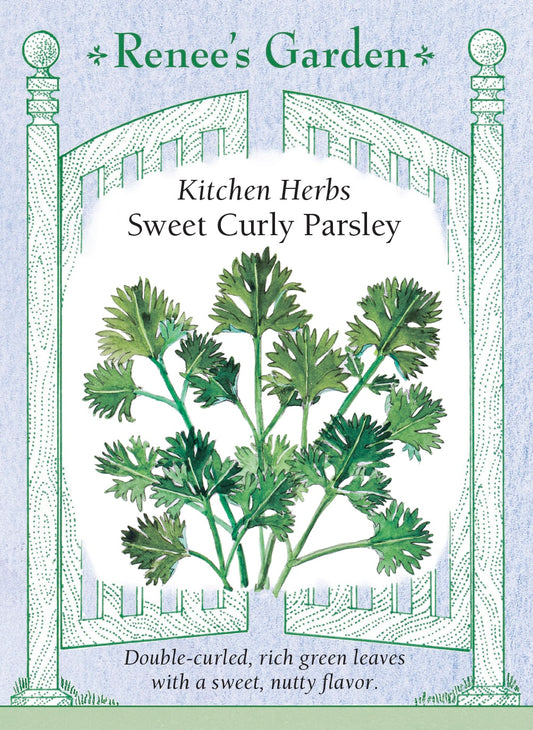 Sweet Curly Parsley