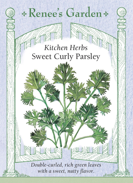 Sweet Curly Parsley