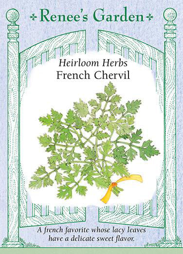 French Chervil