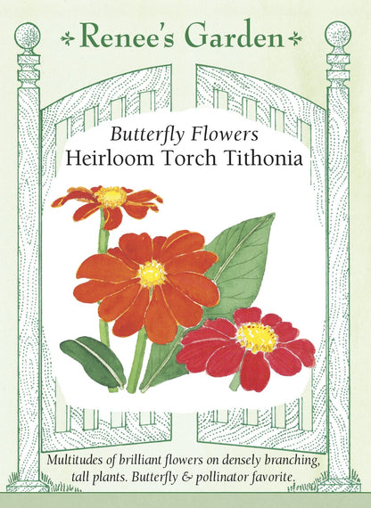 Heirloom Torch Tithonia