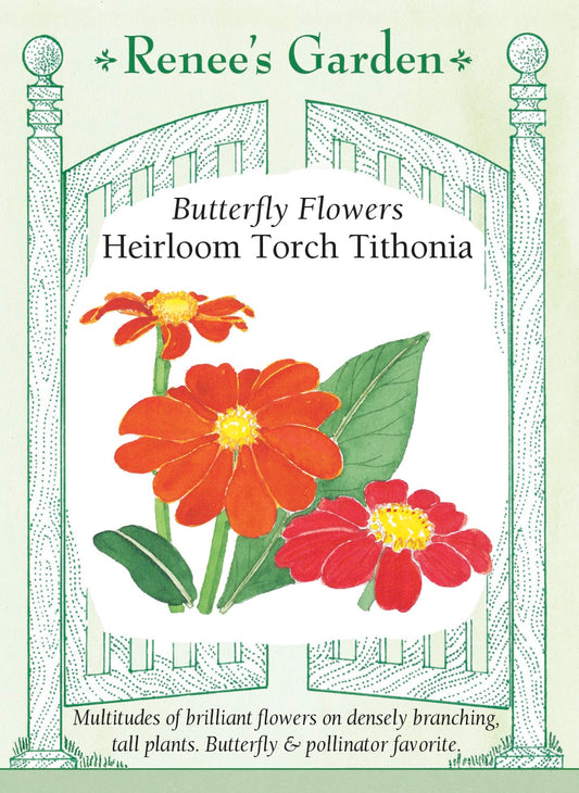 Heirloom Torch Tithonia