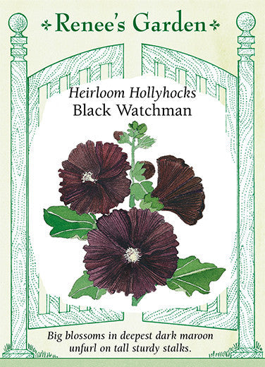 Black Watchman