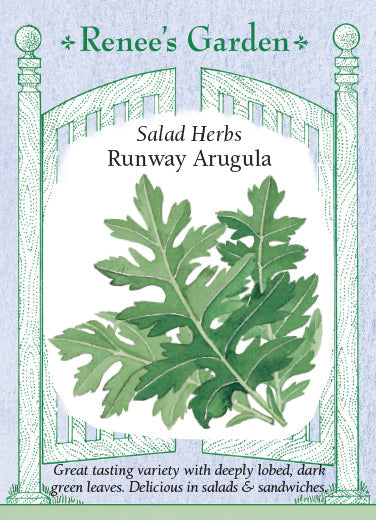 Runway Arugula