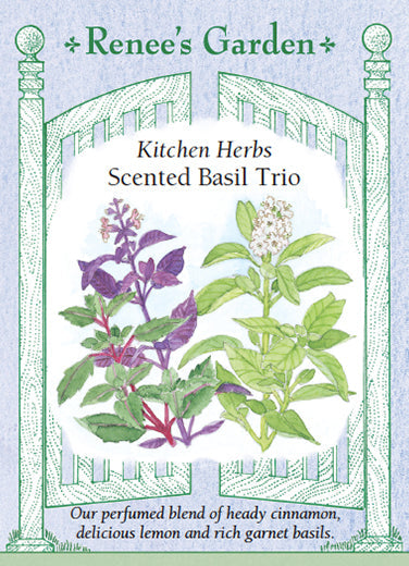 Scented Basil Trio