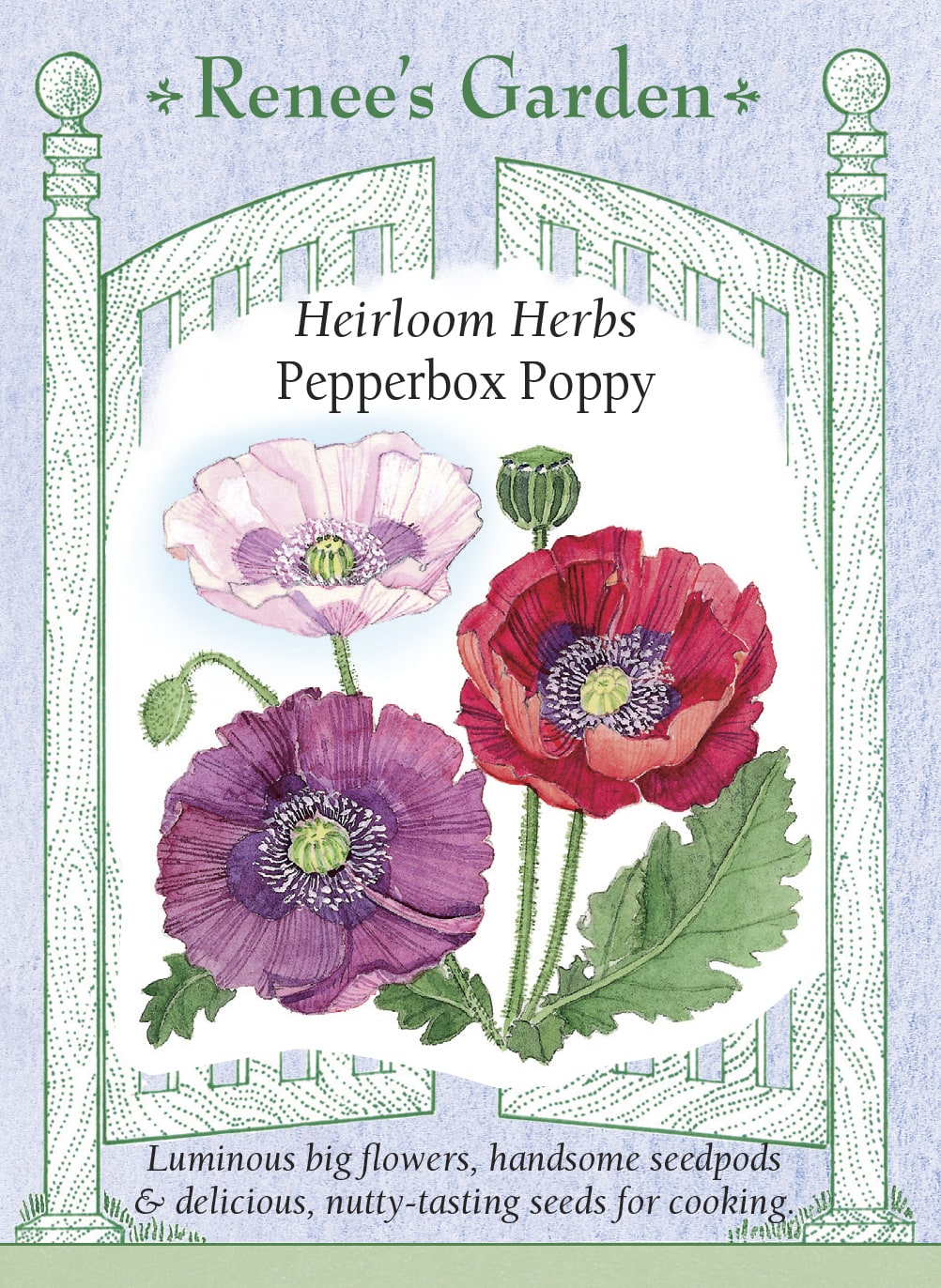 Pepperbox Poppy