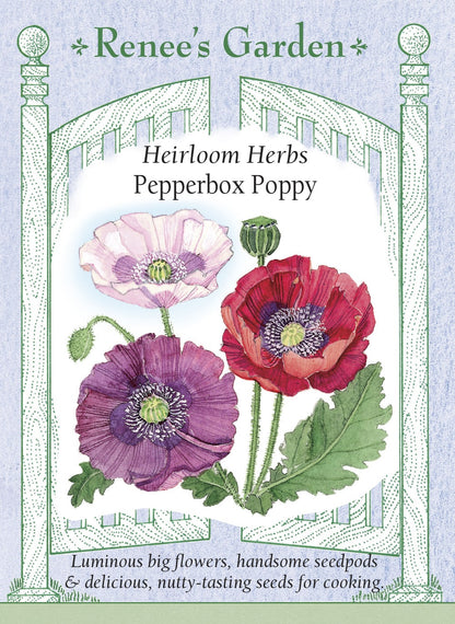 Pepperbox Poppy