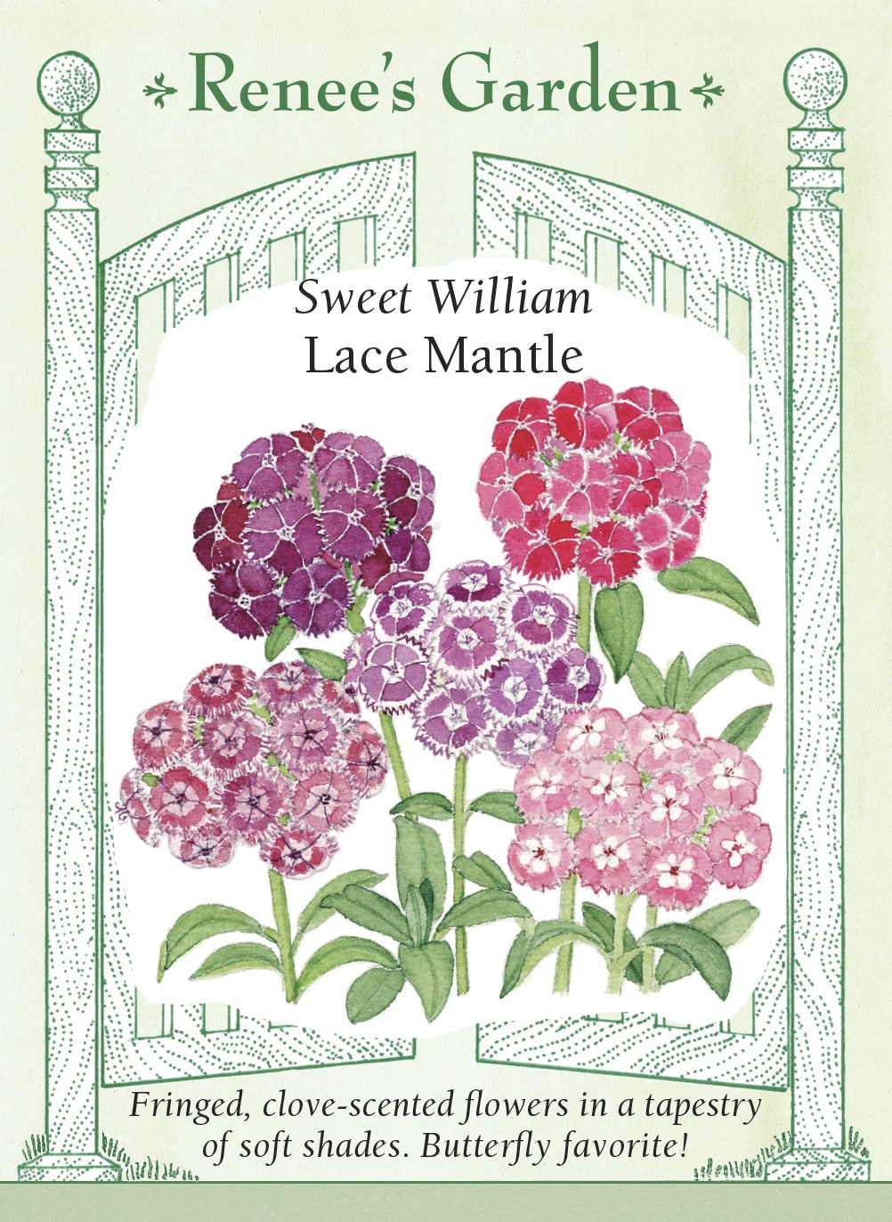 Lace Mantle