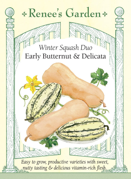 Early Butternut & Delicata