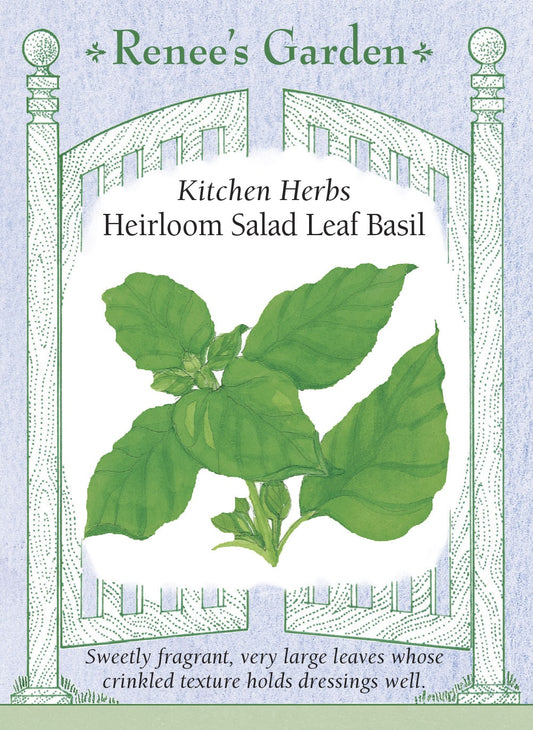 Heirloom Salad Leaf Basil