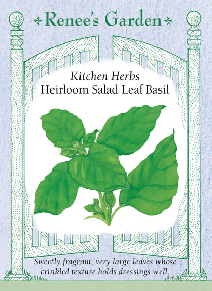 Heirloom Salad Leaf Basil