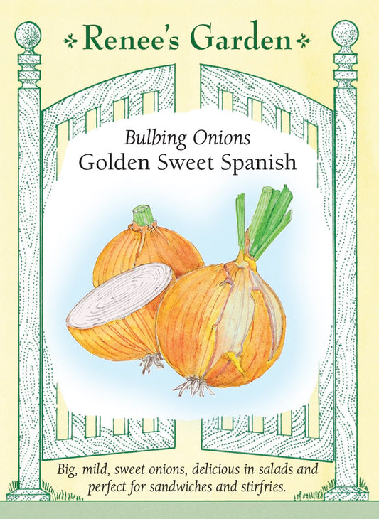 Golden Sweet Spanish