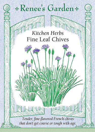 Fine Leaf Chives