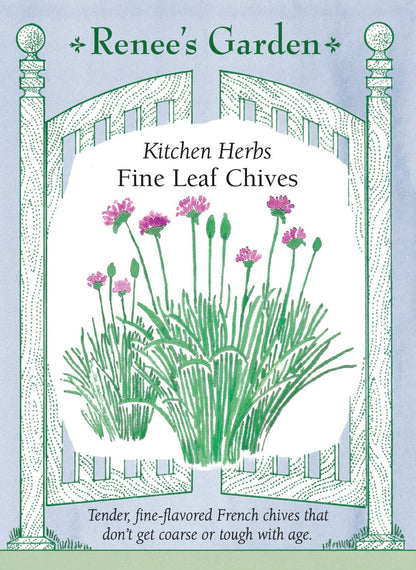 Fine Leaf Chives