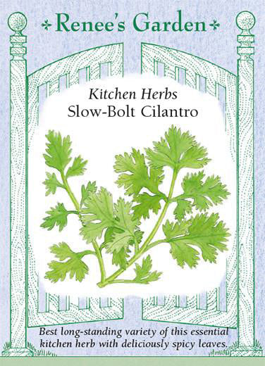 Slow-Bolt Cilantro