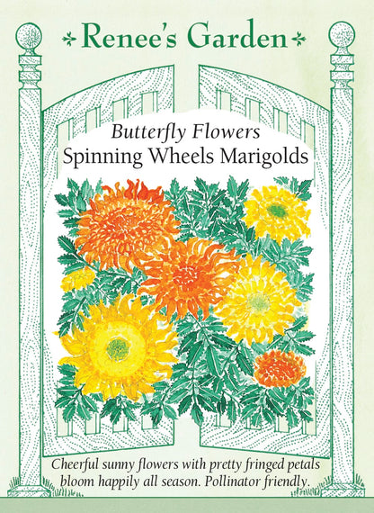 Spinning Wheels Marigolds