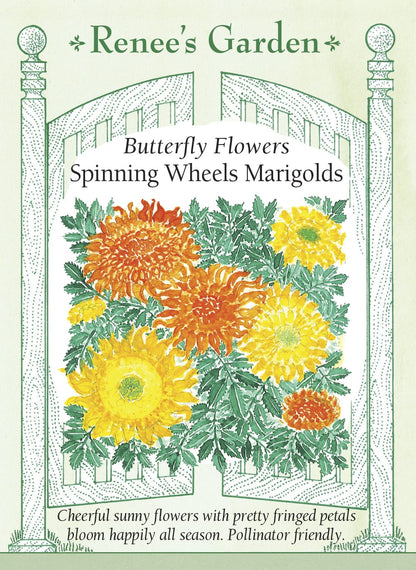 Spinning Wheels Marigolds