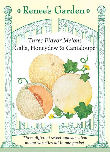 Galia, Honeydew & Cantaloupe