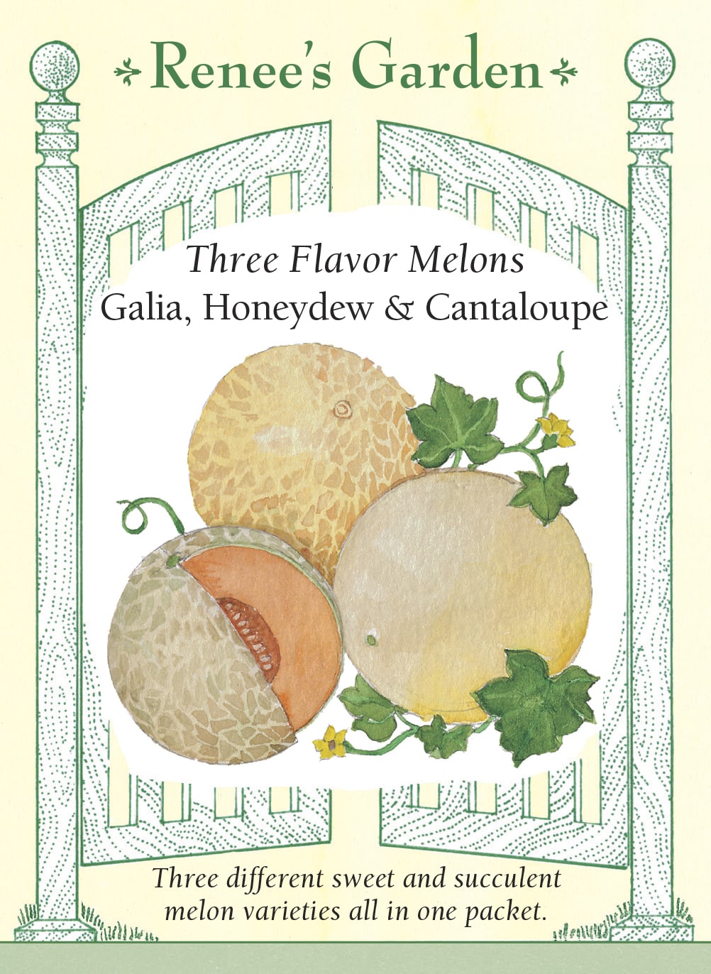 Galia, Honeydew & Cantaloupe