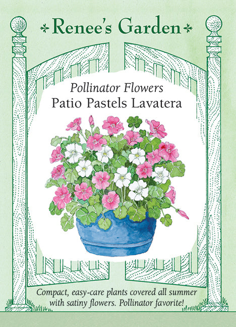 Patio Pastels Lavatera