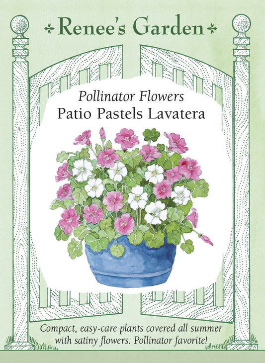 Patio Pastels Lavatera