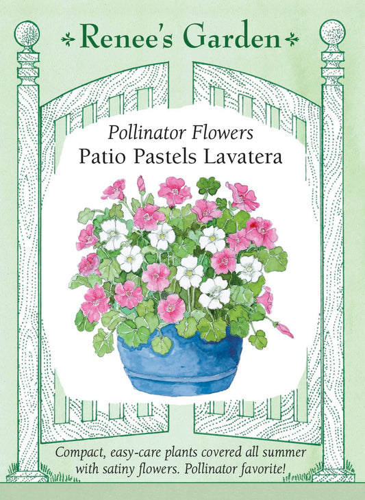 Patio Pastels Lavatera