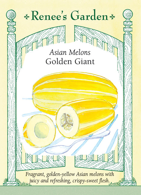 Golden Giant